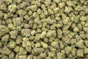 Jungle Cake Indoor Mediums