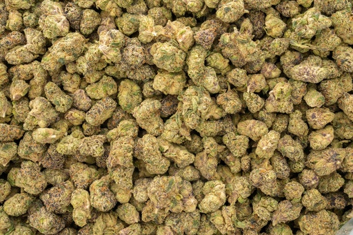 [BPFLTASCUR] Curelato Indoor Smalls