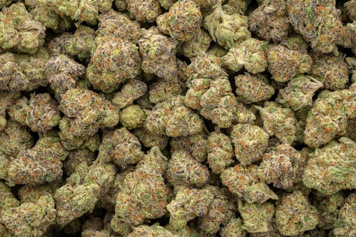 [BPFLTAIBBC] Blackberry Caviar Indoor
