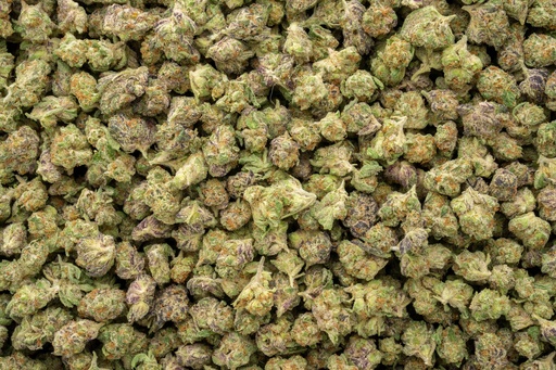 [BPFLTASHCY] Hood Candy Indoor Smalls