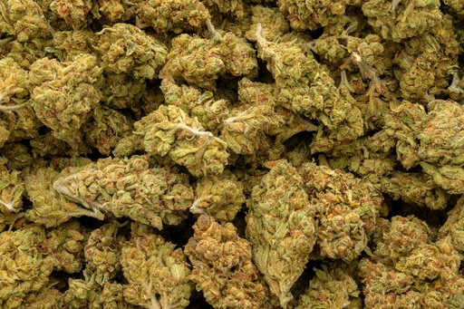 [BPFLTALSOB] Sour Breath