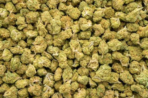 [BPFLTASSPC] Sour Patch Candy Smalls