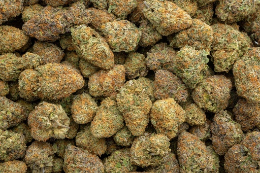 [BPFLTAITDO] The Donald OG Indoor