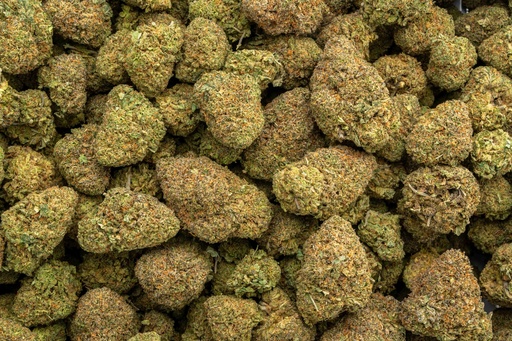 [BPFLTAIHDK] Hindu Kush Indoor