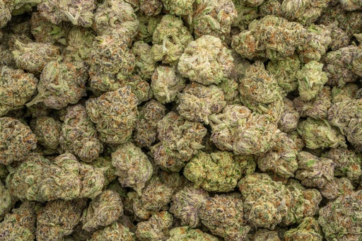 [BPFLTAIBBB] Blueberry Blast Indoor