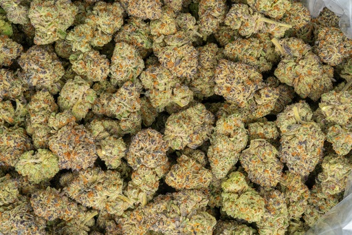 [BPFLTAIGSC] Girl Scout Cookies Indoor
