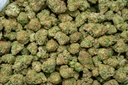 Illemonati Indoor