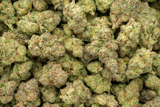 [BPFLTAILCG] Lemon Cherry Gelato Indoor