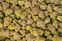 Martian Candy Indoor