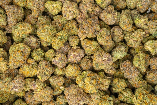 [BPFLTAIMTN] Martian Candy Indoor