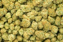 Orange Creamsicle Indoor