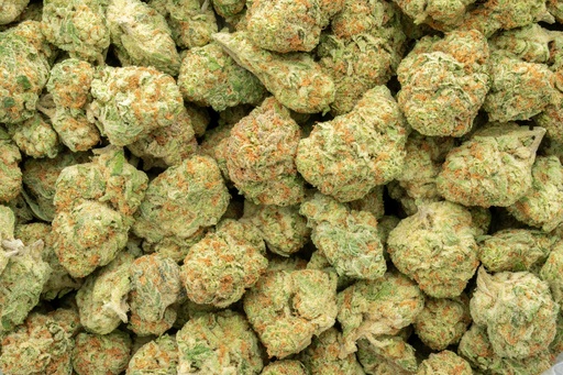 [BPFLTAIOCM] Orange Creamsicle Indoor