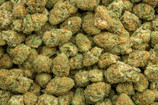 [BPFLTAIOCM] Orange Creamsicle Indoor