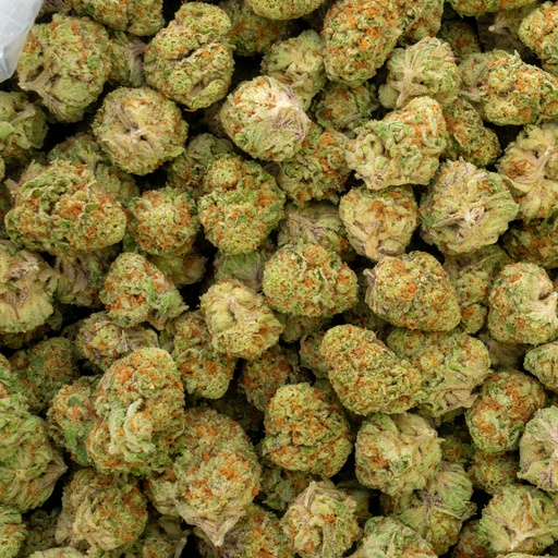 [BPFLTAIOCM] Orange Creamsicle Indoor