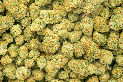 [BPFLTAIOCM] Orange Creamsicle Indoor