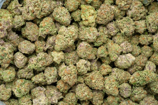 [BPFLTAIPPM] Purple Milk Indoor