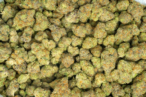 [BPFLTAISTB] Starburst Indoor