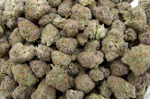 [BPFLTAISBF] Super Boof Indoor