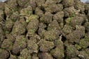 Venom Og Indoor