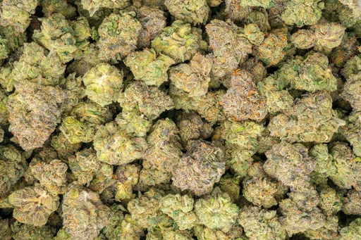 [BPFLTAIWTZ] Watermelon Zkittles Indoor