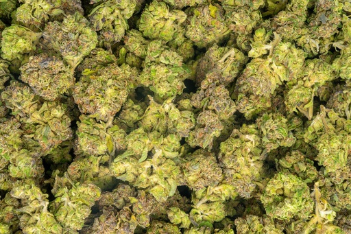 [BPFLTALBCG] Blue Cherry Gelato