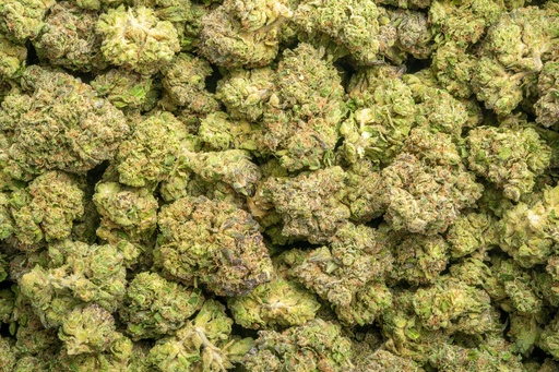 [BPFLTALFBF] Forbidden Fruit