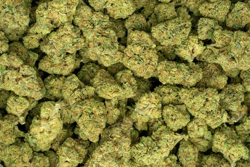 [BPFLTALGLT] Gelato