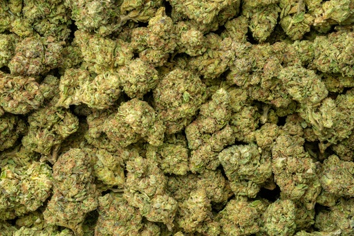 [BPFLTALGTH] Ghost Train Haze
