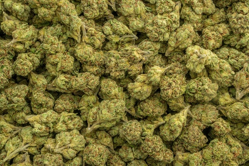[BPFLTALGSC] Girl Scout Cookies