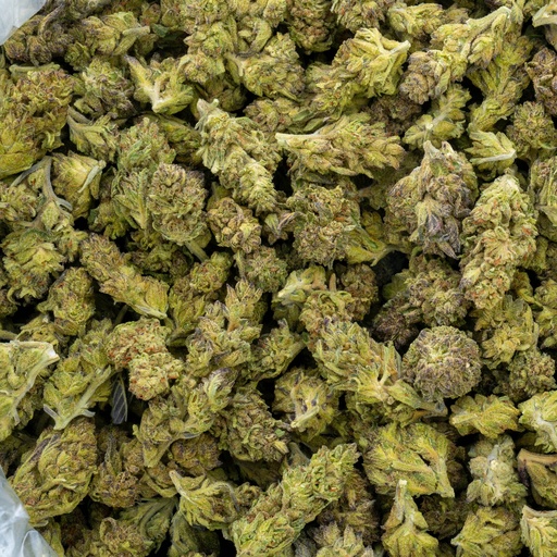 [BPFLTALGMC] Gmo Cookies