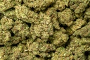 Gorilla Glue #4