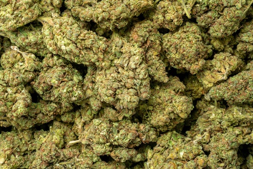 [BPFLTALGG4] Gorilla Glue #4