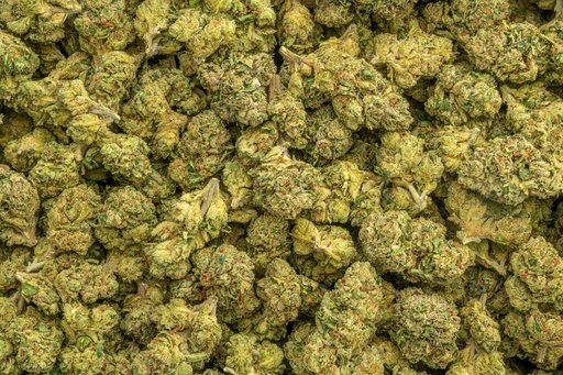 [BPFLTALGCK] Green Crack