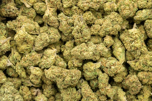 [BPFLTALKMZ] Kush Mintz