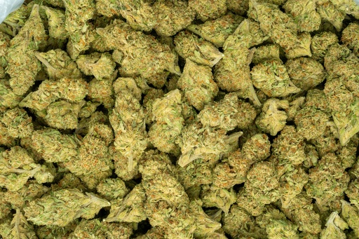 [BPFLTALMAF] Mango Afghani