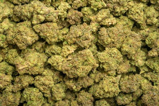 [PROC-HC-EX] PROCESSING HHC (100G)