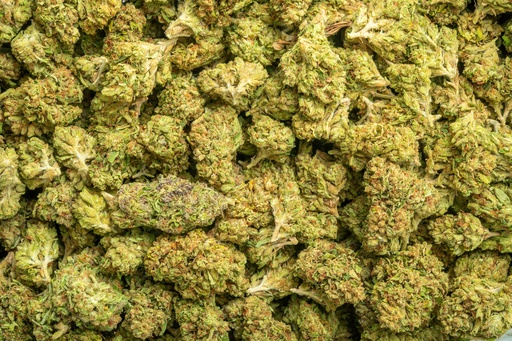 [BPFLTALOGK] OG Kush