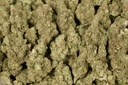 Peanut Butter Breath