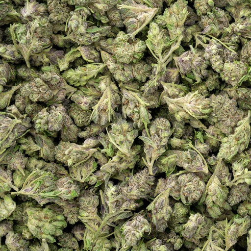 [BPFLTASBCC] Black Cherry Cheesecake Indoor Smalls