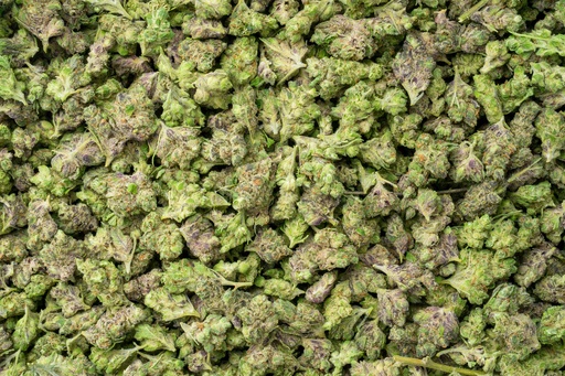 [BPFLTASBCC] Black Cherry Cheesecake Indoor Smalls