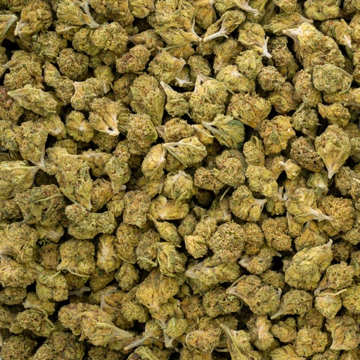 [BPFLTASCHP] Cheetah Piss Smalls