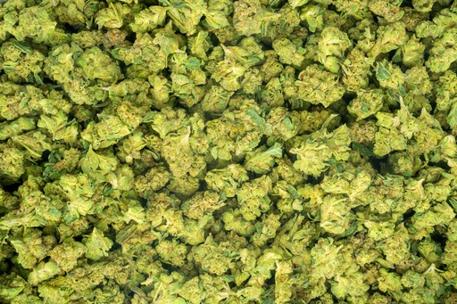 [BPFLTASGSC] Girl Scout Cookies Smalls