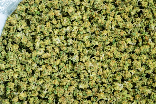 [BPFLTASGSC] Girl Scout Cookies Smalls