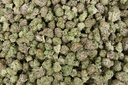 Gmo Cookies Indoor Smalls