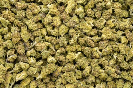 [BPFLTASGMO] GMO Cookies Smalls