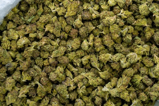 [BPFLTASGMO] GMO Cookies Smalls