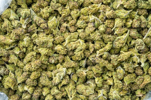 [BPFLTASGMO] GMO Cookies Smalls