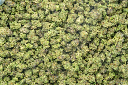 [BPFLTASICC] Ice Cream Cake Indoor Smalls