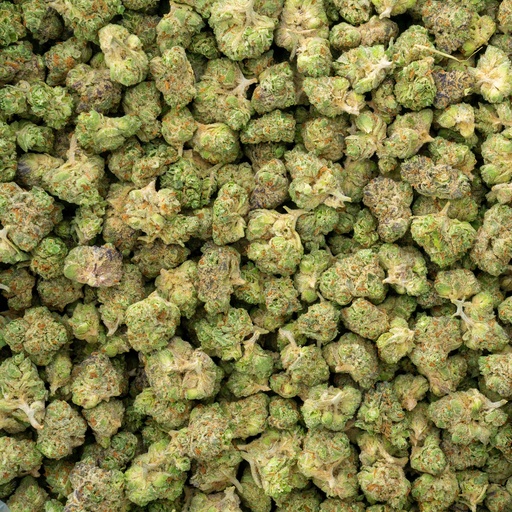 [BPFLTASORE] Oreoz Indoor Smalls