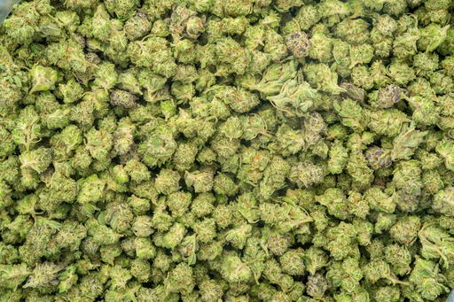 [BPFLTASORE] Oreoz Indoor Smalls
